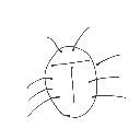 れな の絵: ごきぶり