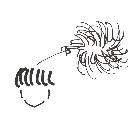 ちあぽんたん の絵: つむじ