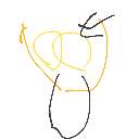 おはかま の絵: きんたま