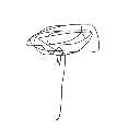 おはかま の絵: がびょう