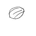 はる の絵: くるみ