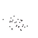 あいと の絵: ごま
