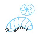 シグマ の絵: だんごむし